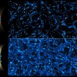 pencil-beam-laser-could-help-researchers-design-brain-targeted-therapies