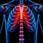 cftr-drives-chloride-transport-to-maintain-bone-health