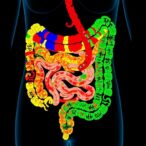 mapping-inflammatory-bowel-disease-with-spatial-transcriptomics