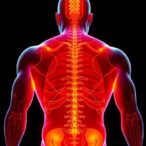 harnessing-body-heat:-showcasing-the-future-of-battery-free-sensing-technology