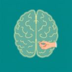 lifetime-mental,-physical,-environmental,-and-lifestyle-factors-shape-brain-health,-study-finds