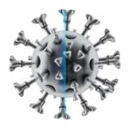 csde1-drives-viral-immune-evasion-via-phase-separation