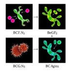 how-bacteria-outsmart-plant-immune-defenses