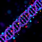 decoding-single-cell-dna-methylation-with-methylvi
