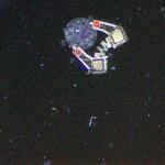 force-sensing-mobile-microgrippers-for-gentle-bioassembly-of-spheroids