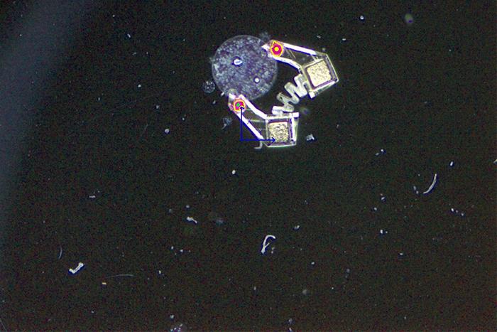 force-sensing-mobile-microgrippers-for-gentle-bioassembly-of-spheroids