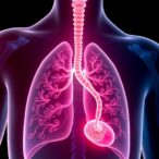 new-targeted-therapy-demonstrates-early-success-against-kras-driven-lung-and-pancreatic-cancers