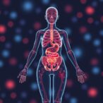 ai-reveals-how-menopause-molecularly-affects-different-organs-across-the-female-body