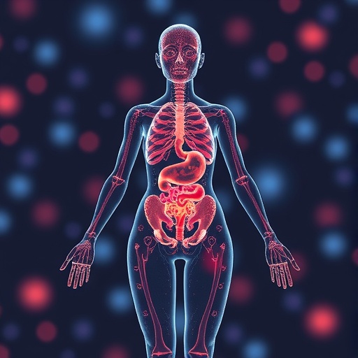 ai-reveals-how-menopause-molecularly-affects-different-organs-across-the-female-body