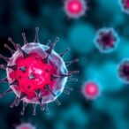 how-cells-determine-when-to-respond-could-transform-future-cancer-and-fibrosis-treatments