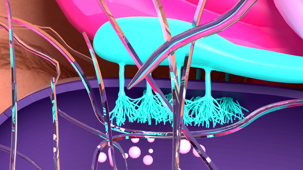 loss-of-smell-therapies-informed-by-olfactory-receptor-spatial-mapping