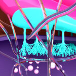 loss-of-smell-therapies-informed-by-olfactory-receptor-spatial-mapping