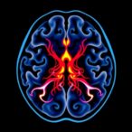 mannose-receptors-drive-bacterial-clearance-in-spleen