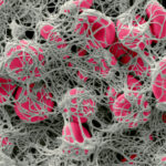 “click-clotting”-technique-rapidly-creates-stronger-blood-clots