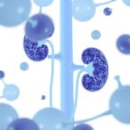 diabetic-kidney-disease-linked-to-b-cell-rich-subgroup