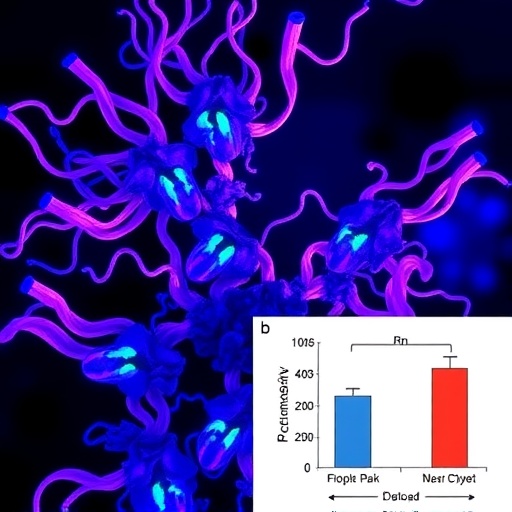 rbm14-boosts-prostate-cancer-by-enhancing-glycolysis