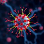 aav2-capsid-clearance-and-neuronal-trafficking-dynamics