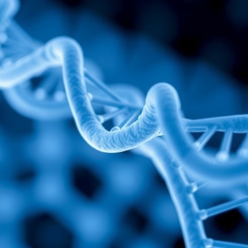 uc-san-diego-study-enhances-accuracy-in-predicting-genetic-risk-for-type-1-diabetes