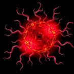 muribaculaceae-boosts-tlr4-driven-acinetobacter-sepsis