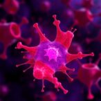 non-viral-large-dna-integration-in-human-t-cells