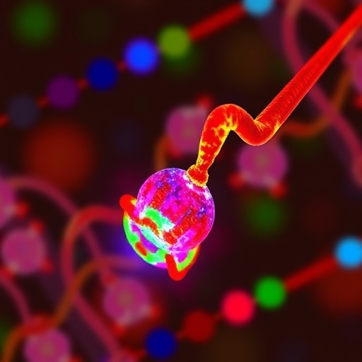 straight-in-dual-enables-precision-dna-integration-in-stem-cells