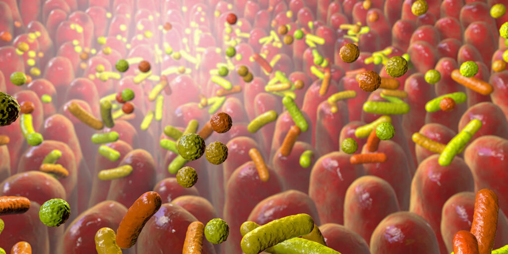 pathogenic-bacterium-rewires-gut-environment-to-colonize-and-cause-disease