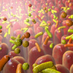 pathogenic-bacterium-rewires-gut-environment-to-colonize-and-cause-disease