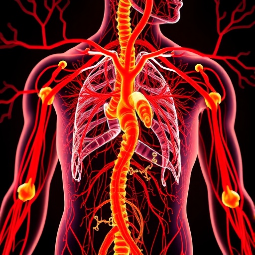 digital-twins-revolutionize-human-circulatory-system-models