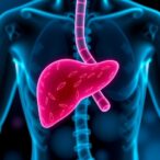 bifidobacterium-nanoparticles-combat-alcoholic-liver-disease