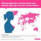 widening-disparities-in-cervical-cancer-rates-between-high-and-low-income-nations