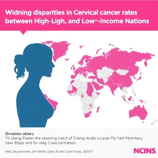 widening-disparities-in-cervical-cancer-rates-between-high-and-low-income-nations