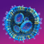 approaches-to-reducing-toxicity-and-side-effects-in-cell-and-gene-therapy