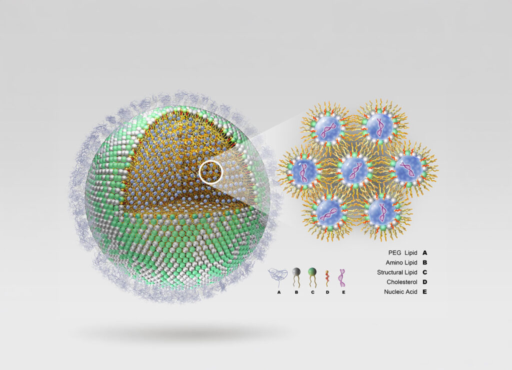 going-non-viral:-gene-delivery-enters-its-translation-era
