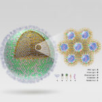 going-non-viral:-gene-delivery-enters-its-translation-era