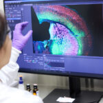 gene-editing-at-scale,-clinic-seeks-generalizable-therapies