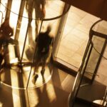 cber-chief-prasad-steps-aside,-deputy-takes-the-reins-as-search-for-successor-continues