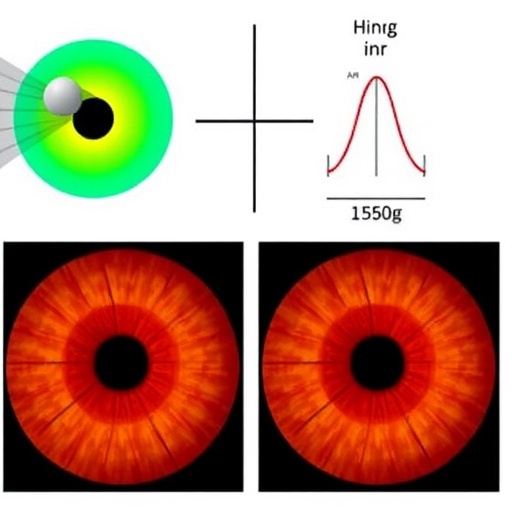 early-detection-of-keratoconus-enhanced-by-light-polarization-and-ai