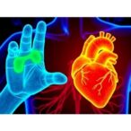 chilly-extremities,-steamy-hearts:-how-body-temperature-influences-disease-from-trpm4-mutations