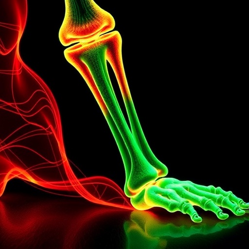 mcu-controls-bone-growth-through-mitochondrial-calcium