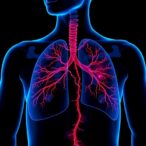 axon-pathways-connect-small-gestational-age-to-lung-restrictions