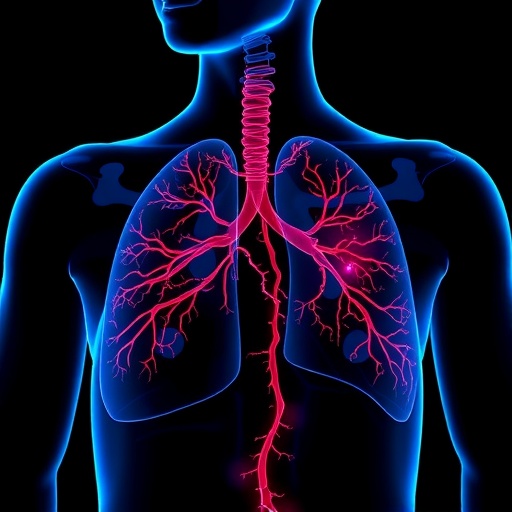 axon-pathways-connect-small-gestational-age-to-lung-restrictions