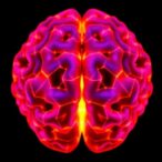 cortical-networks-link-differently-to-parkinson’s-subthalamic-activity