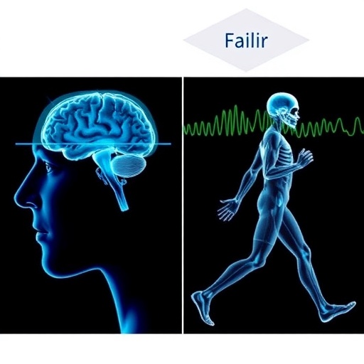 brain-and-muscle-activity-during-dual-task-walking
