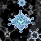 abrasion-resistant-bioelectronics-with-3d-covalent-architecture