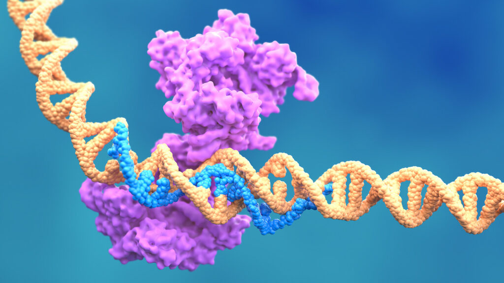 optical-pooled-crispr-screen-reveals-regulators-of-nf-κb-dynamics-in-human-cells