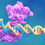 optical-pooled-crispr-screen-reveals-regulators-of-nf-κb-dynamics-in-human-cells