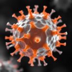 author-correction:-lipopeptide-immunity-linked-to-membrane-remodelling