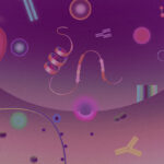 protein-biomarkers-in-practice:-strategies-to-reduce-drug-development-risk