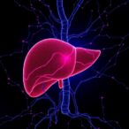 sirt3-dsba-l-tfam-axis-limits-fatty-liver-disease