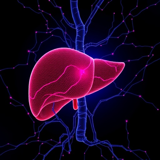 sirt3-dsba-l-tfam-axis-limits-fatty-liver-disease